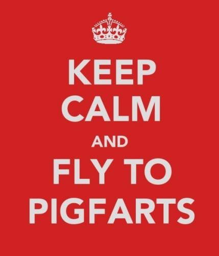 Keep calm and fly to Pigfarts ~ With A Very Potter Musical