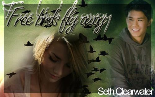 Free birds fly away - A Seth Clearwater storie.