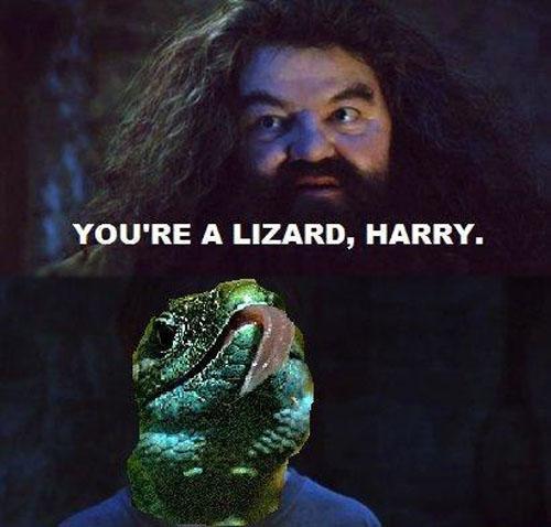 You're a lizzard