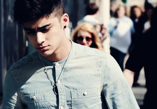 Zayn x