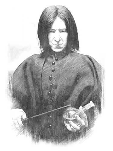 Hoofdstuk 9. Een prachtige fan art van Professor Snape, die moest er gewoon bij!