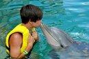 w/ dolphine... How cute? ^^