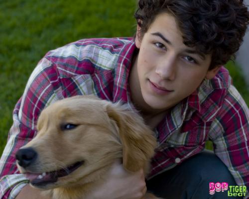 Nick Jonas <3