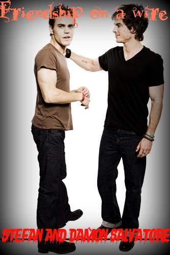 Stefan and Damon Salvatore, Friendship on a wire