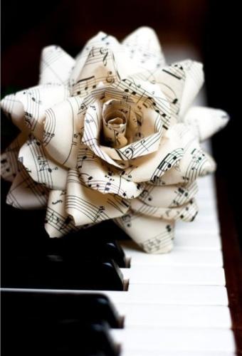 piano rose