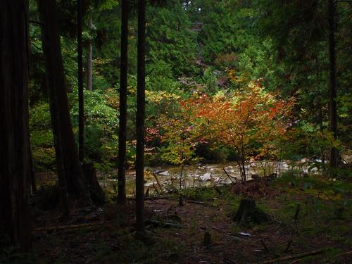 2de - Shizen (natuur in het Japans)