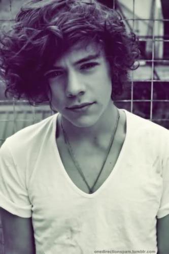 Harry Styles <3