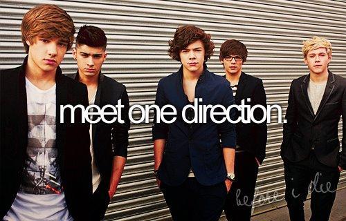 Yeahh, I want to meet One Direction #beforeIdie