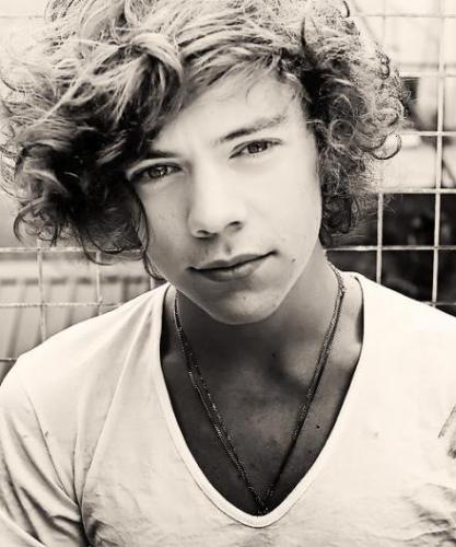 Harry Styles(L)