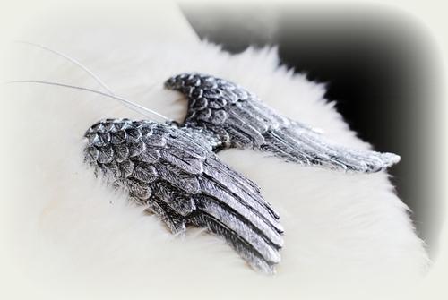 angel wings