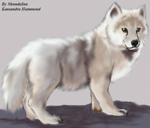 wolvenpup