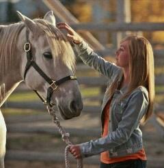 Amy en het paard: Pegasus