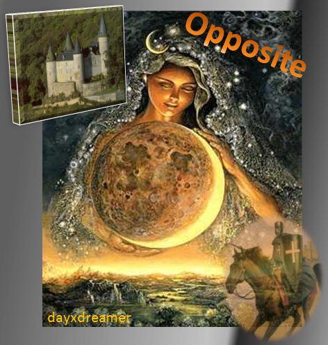 De cover van een verhaal van Dayxdreamer: 'Opposite'
