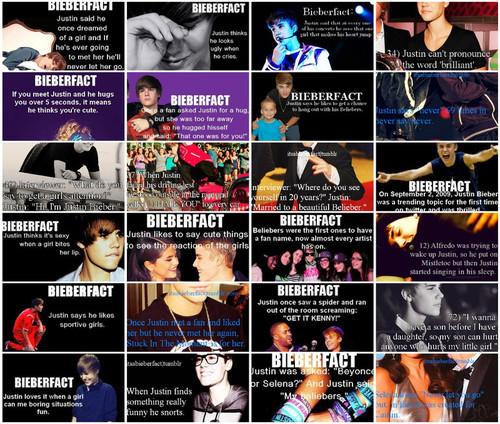 bieberfacts =)