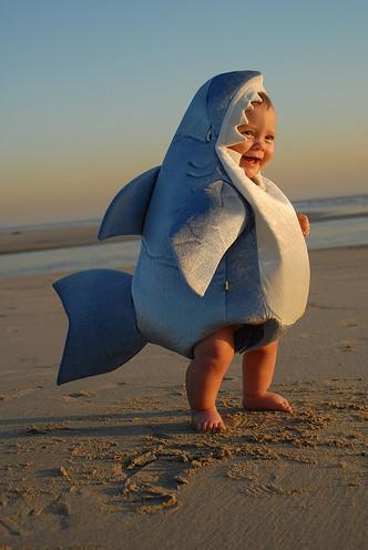 Cute Shark <3