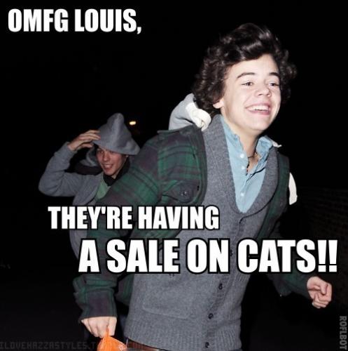 SALE ON CATS xD my old username xD