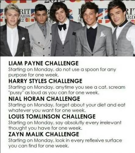 de enige echte one direction challenge wie doet er met me mee???