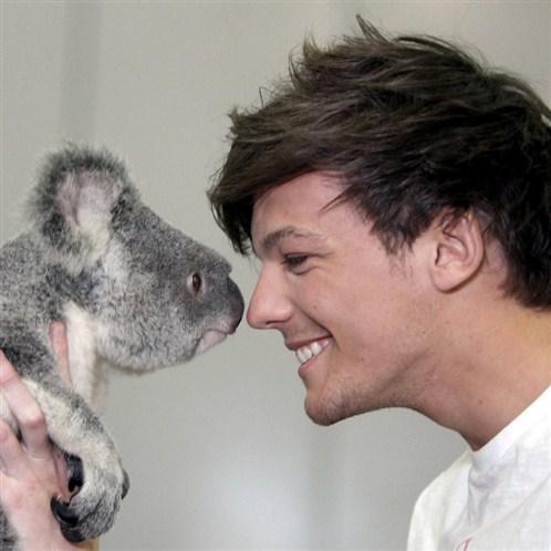 Cute Louis And Cute Koala!