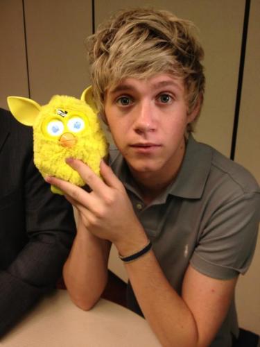 Niall Looks Like A Furby!