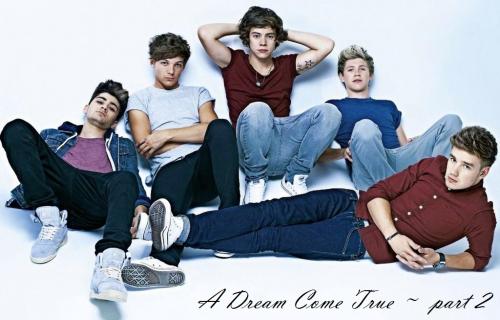 A Dream Come True - One Direction 16+ PART 2