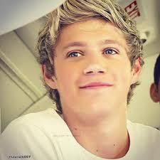 LOVE FOR NIALL HORAN