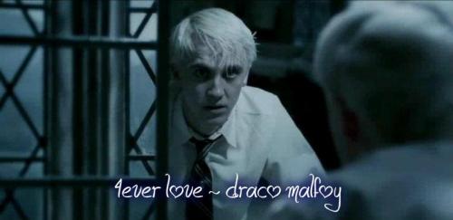 4ever love ~ draco malfoy