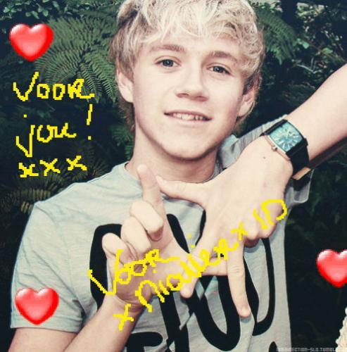 Voor xNiallerx1D! van AmandaX1D