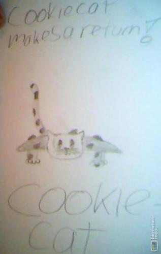 cookiecat 2