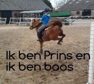 Prins is boos