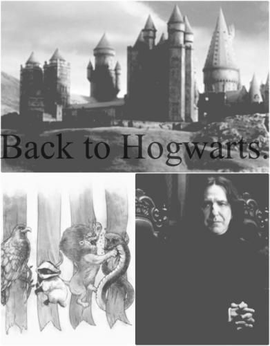 Back to Hogwarts || Cover