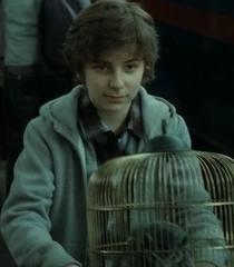 James Sirius Potter