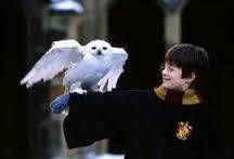 Harry en Hedwig