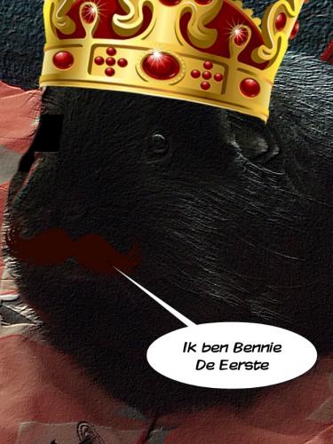 Mijn cavia