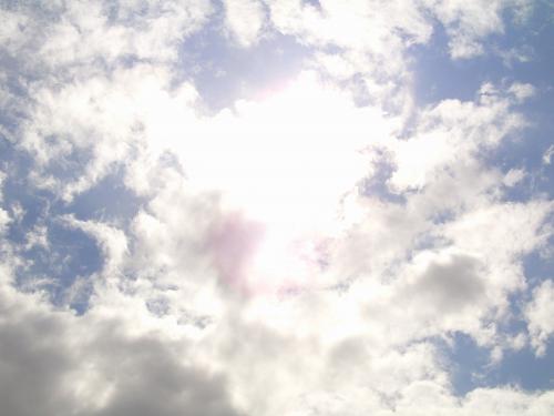 Kijk eens op een zonnige dag omhoog, misschien zie je iets heel moois.
