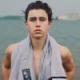 Nashgrier