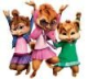 TheChipettes