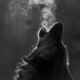 lostwolf