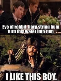 Why is the rum gone?!
