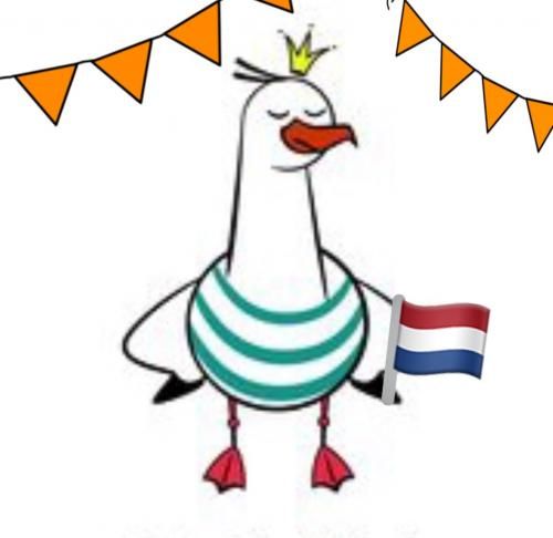 Deze gebruik ik op Koningsdag.