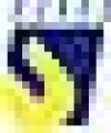 pasfoto