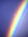 pasfoto