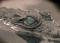 pasfoto